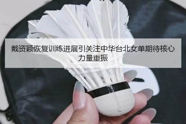 戴资颖恢复训练进展引关注中华台北女单期待核心力量重振